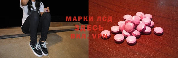 PSILOCYBIN Алзамай