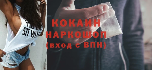 гашик Алексин