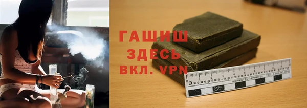 гашик Алексин