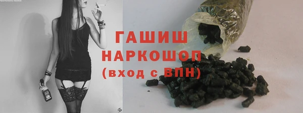 гашик Алексин