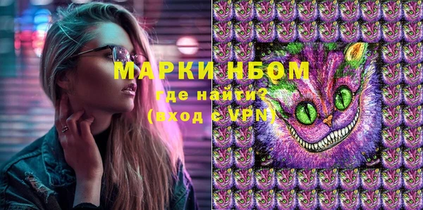 гашик Алексин