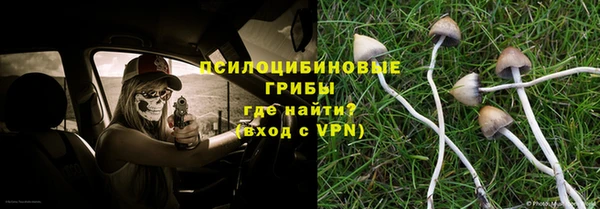 PSILOCYBIN Алзамай