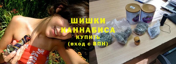 PSILOCYBIN Алзамай