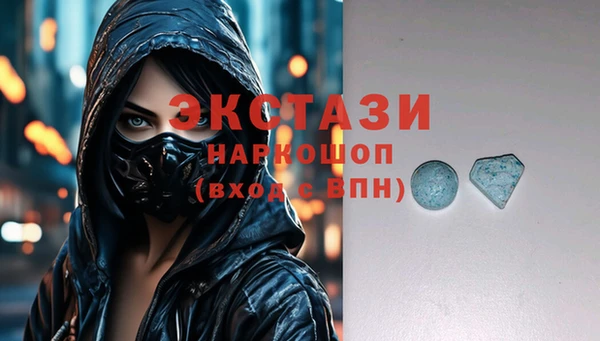 гашик Алексин