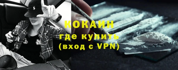 гашик Алексин