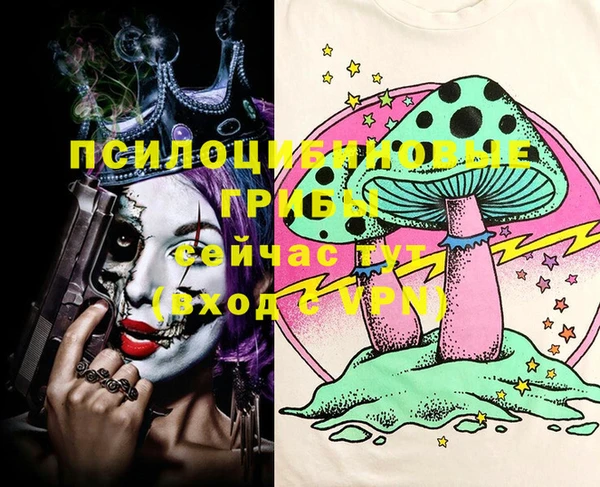 PSILOCYBIN Алзамай
