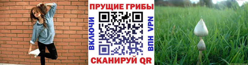 Галлюциногенные грибы Magic Shrooms  Ачинск 